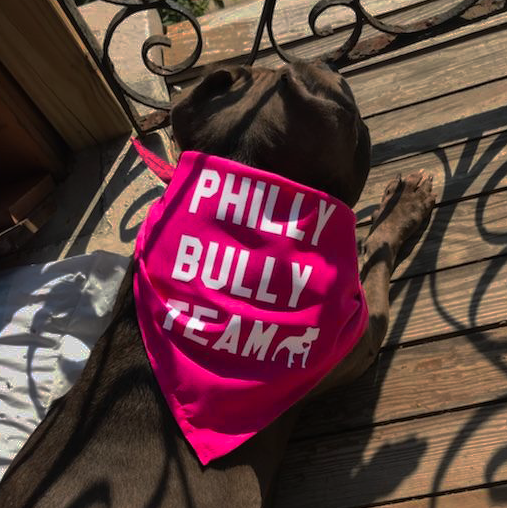 Philly Bully Team Bandana