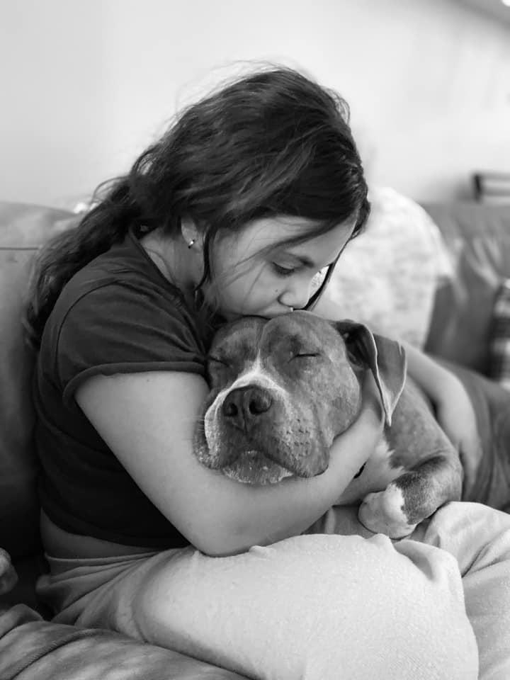 Dog being comforted by girl